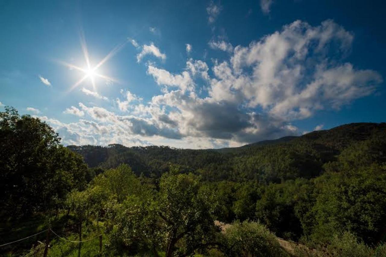 Agriturismo Di Charme E Ristorante Stallato Il Filo Di Paglia Карро Экстерьер фото