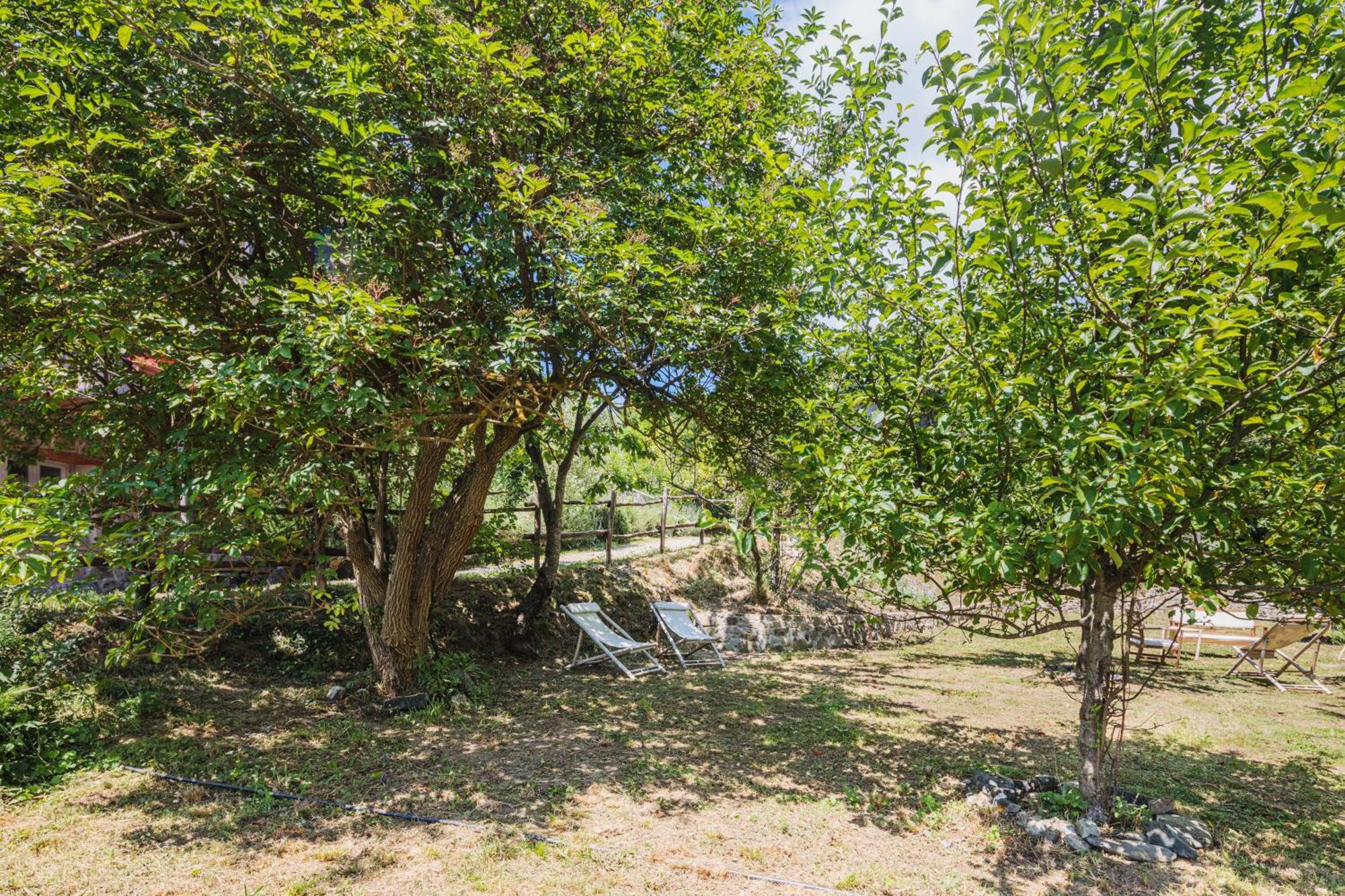 Agriturismo Di Charme E Ristorante Stallato Il Filo Di Paglia Карро Экстерьер фото